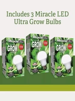 Adjustable 3-Arm Grow Lamp -Outdoor Garden Care Shop 3 Arm 2
