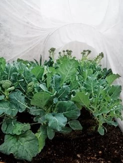 Summerweight Garden Fabric -Outdoor Garden Care Shop 32644 7936 tif