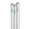 4' SunLite® T-8 Bulbs, Set Of 3 -Outdoor Garden Care Shop 34745 001ed tif
