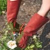 Rose Gloves -Outdoor Garden Care Shop 36874 0026 tif