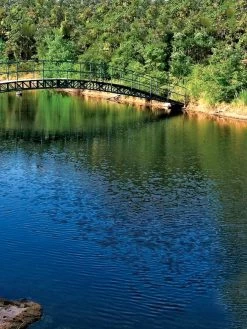 Aquasphere Pond Cleaners -Outdoor Garden Care Shop 37425 001ed 1