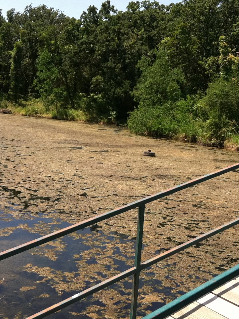 Blast, 2,500 Gallon, 5 Packets 5 Blast, 2,500 Gallon, 5 Packets - Image 3