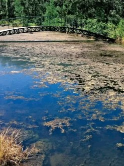 Aquasphere Pond Cleaners -Outdoor Garden Care Shop 37425 002ed 1