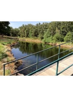 Blast, 125,000 Gallon, 12 Packets -Outdoor Garden Care Shop 37425 002v 1