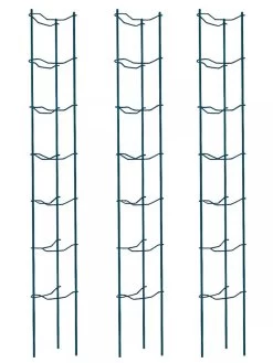 Tomato Ladders, Set Of 3 10 Tomato Ladders, Set Of 3 -Outdoor Garden Care Shop 38184 002E psd