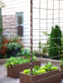 Jardin Rose Arch 10 Jardin Rose Arch -Outdoor Garden Care Shop 38690 9948 tif