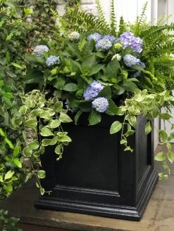 Fairfield Self-Watering Square Planter, 20” X 20” -Outdoor Garden Care Shop 39 618 205V tif