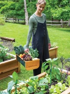 Garden Hods 11 Garden Hods -Outdoor Garden Care Shop 39 761 0146 tif