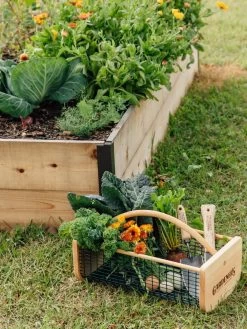 Garden Hods 10 Garden Hods -Outdoor Garden Care Shop 39 761 572 tif