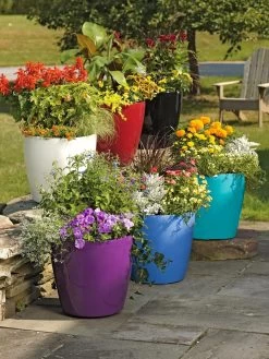 Viva Round Self-Watering Rolling Planter, 17.25” Diameter -Outdoor Garden Care Shop 39326 042 tif