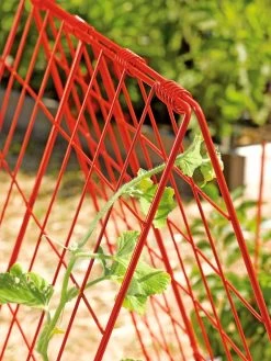 Deluxe Cucumber Trellis 12 Deluxe Cucumber Trellis -Outdoor Garden Care Shop 39806 542 tif
