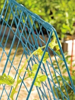 Deluxe Cucumber Trellis 14 Deluxe Cucumber Trellis -Outdoor Garden Care Shop 39806 BLUE 100 tif