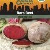 Beet, Boro Organic Seeds