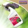 Bonide® Japanese Beetle Killer -Outdoor Garden Care Shop 3 4 crop 8586927 01V 3 4