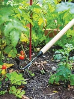 Gardener's Lifetime Long-Handled Double Tool -Outdoor Garden Care Shop 3 4 crop 8592107 2460 tif