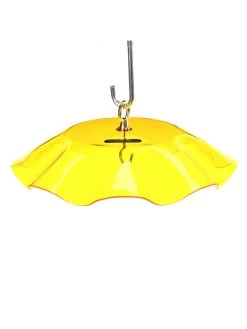 Birds Choice Weather Guard Feeder Cover 17 Birds Choice Weather Guard Feeder Cover -Outdoor Garden Care Shop 3 4 crop 8608735 25V