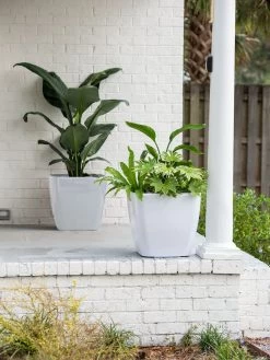 Viva Square Self-Watering Rolling Planter, 20" Diameter, Set Of 2 -Outdoor Garden Care Shop 3 4 crop 8612930 10031