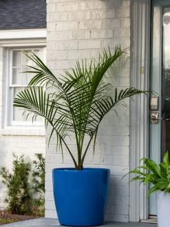 Viva Round Self-Watering Rolling Planter, 20" Diameter, Set Of 2 -Outdoor Garden Care Shop 3 4 crop 8612933 0024 tif