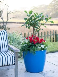 Viva Round Self-Watering Rolling Planter, 20" Diameter, Set Of 2 -Outdoor Garden Care Shop 3 4 crop 8612933 5312 tif