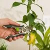 Houseplant Pruner -Outdoor Garden Care Shop 3 4 crop 8612961 0040 houseplant pruner