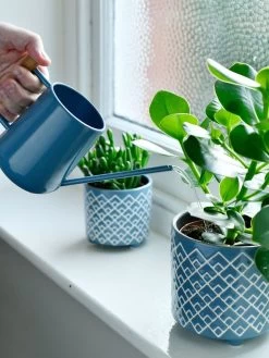 Pinpoint Indoor Watering Can 14 Pinpoint Indoor Watering Can -Outdoor Garden Care Shop 3 4 crop 8612963 03V tif