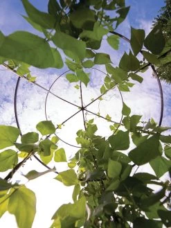 Jardin Tower -Outdoor Garden Care Shop 3 4 crop 8612997 0033