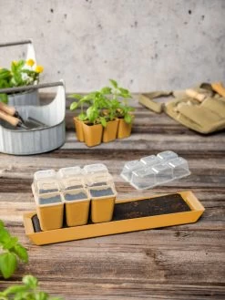 Gardener's Best® Humidity Dome, Set Of 2 -Outdoor Garden Care Shop 3 4 crop 8613067 10063