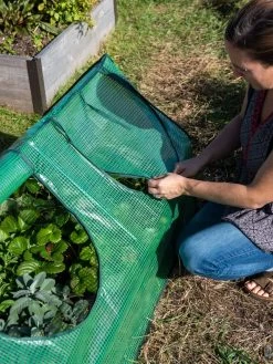 Multi Cloche -Outdoor Garden Care Shop 3 4 crop 8613213 0245