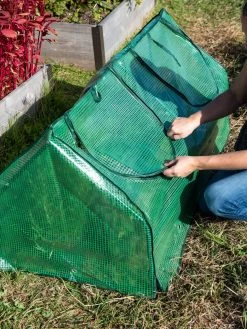 Multi Cloche -Outdoor Garden Care Shop 3 4 crop 8613213 0250