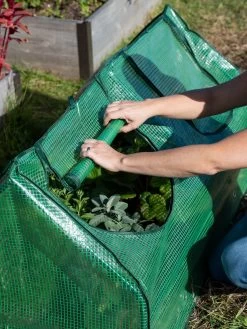 Multi Cloche -Outdoor Garden Care Shop 3 4 crop 8613213 0265