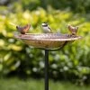 Pure Copper Bird Bath With Two Copper Birds And Multipronged Garden Pole 2 Pure Copper Bird Bath With Two Copper Birds And Multipronged Garden Pole -Outdoor Garden Care Shop 3 4 crop 8613378 01v pure copper bird bath with two copper birds and multipronged garden pole