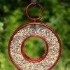 Circle Fly-Thru™ Bird Feeder With A Ruby Red Finish 1 Circle Fly-Thru™ Bird Feeder With A Ruby Red Finish -Outdoor Garden Care Shop 3 4 crop 8613383 02v circle fly thru bird feeder with a ruby red finish