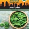 Corvair Spinach Organic Seeds -Outdoor Garden Care Shop 3 4 crop 8613868 06842 Spinach Corvair SDSC