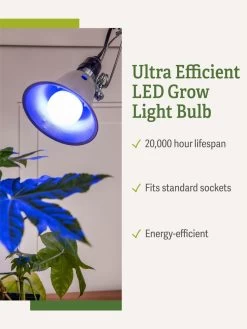 Miracle LED® Grow Light Bulb, Blue -Outdoor Garden Care Shop 3 4 crop Miracle Bulb Blue 1