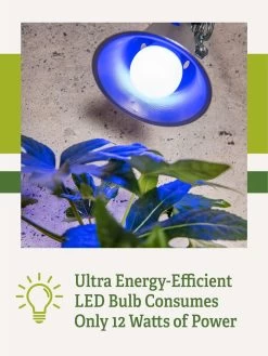 Miracle LED® Grow Light Bulb, Blue -Outdoor Garden Care Shop 3 4 crop Miracle Bulb Blue 2