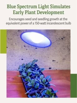 Miracle LED® Grow Light Bulb, Blue -Outdoor Garden Care Shop 3 4 crop Miracle Bulb Blue 3