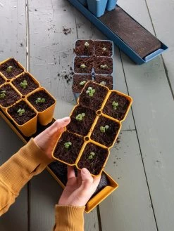 Gardener's Best® XL Seed Starting Kit -Outdoor Garden Care Shop 40 135 6186