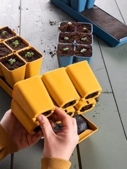 Gardener's Best® XL Seed Starting Kit -Outdoor Garden Care Shop 40 135 6188