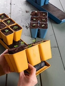 Coco Coir Seed Starting Mix -Outdoor Garden Care Shop 40 135 6192