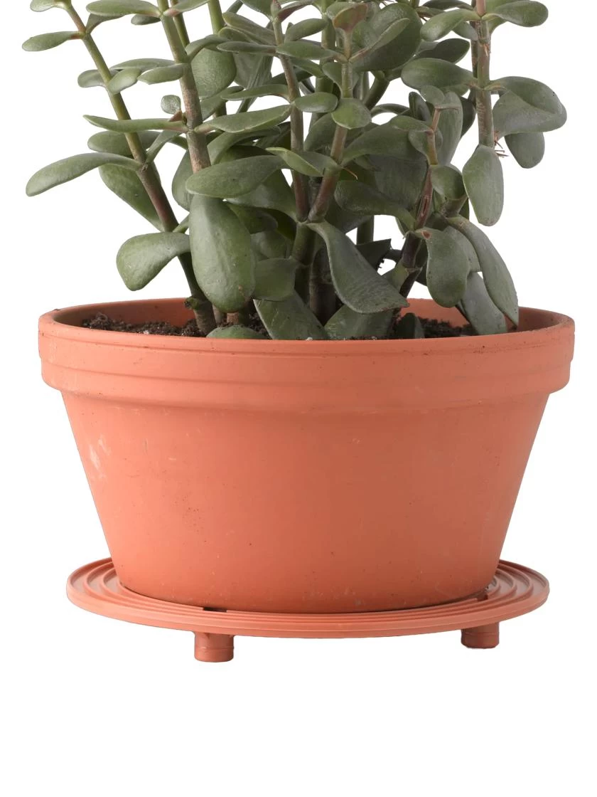 5" SurfaceSaver® , Set Of 2 4 5" SurfaceSaver® , Set Of 2 - Image 2