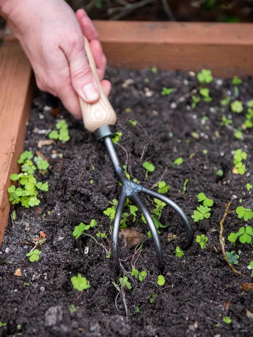 Gardener's Lifetime Cultivator 4 Gardener's Lifetime Cultivator - Image 2