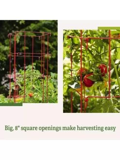 Tomato Cages, Set Of 4 15 Tomato Cages, Set Of 4 -Outdoor Garden Care Shop 8587040 2