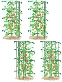 Tomato Cages, Set Of 4 13 Tomato Cages, Set Of 4 -Outdoor Garden Care Shop 8587040 GR 001E tif