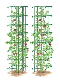 Tomato Towers, Set Of 2 -Outdoor Garden Care Shop 8587041 0006 GRN tif