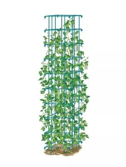 Bean Tower -Outdoor Garden Care Shop 8587060 BeanTower BLUE