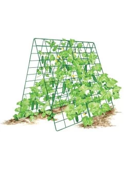 Deluxe Cucumber Trellis 16 Deluxe Cucumber Trellis -Outdoor Garden Care Shop 8587083 001 GRN tif