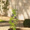 Jardin Pot Trellis 2 Jardin Pot Trellis -Outdoor Garden Care Shop 8587120 224 tif