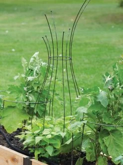 Jardin Pot Trellis 10 Jardin Pot Trellis -Outdoor Garden Care Shop 8587120 7037 tif