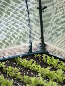 Protection Frame & Covers, 2' X 4' 12 Protection Frame & Covers, 2' X 4' -Outdoor Garden Care Shop 8587631 271 tif 1