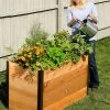 Elevated Raised Bed, 2' X 4' 1 Elevated Raised Bed, 2' X 4' -Outdoor Garden Care Shop 8587822 675 tif